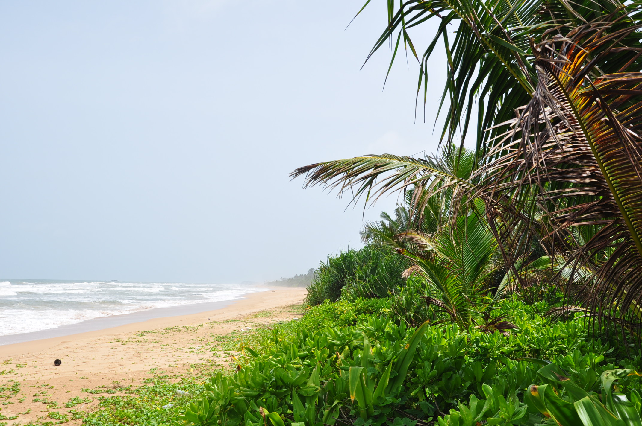 Bentota beach in Sri Lanka